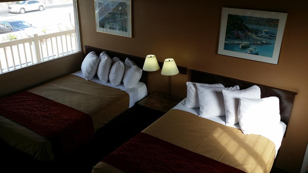 Motel The Palms On Ocean Pompano Beach Camera foto