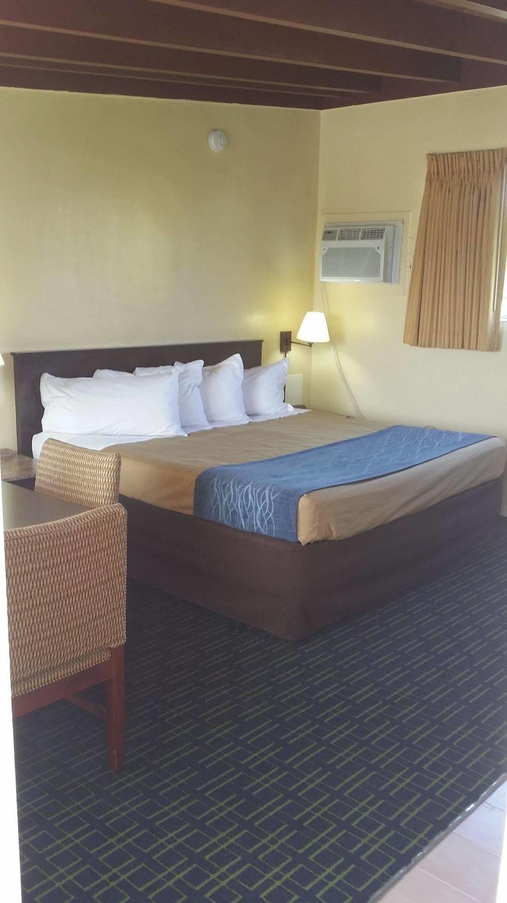 Motel The Palms On Ocean Pompano Beach Esterno foto