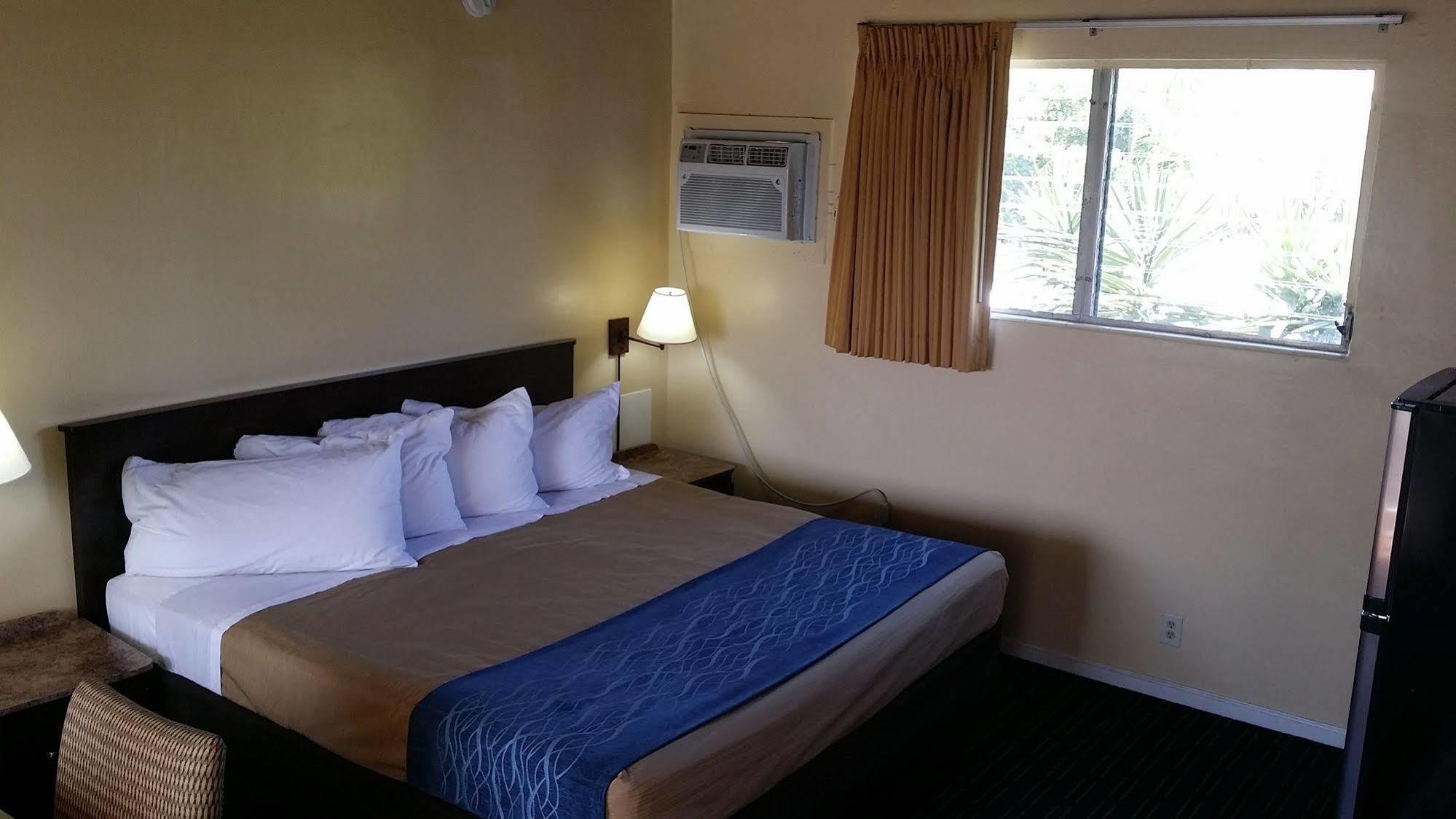 Motel The Palms On Ocean Pompano Beach Esterno foto