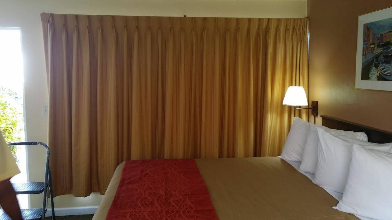 Motel The Palms On Ocean Pompano Beach Esterno foto